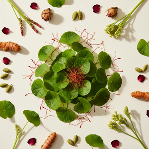 Post-Monsoon Skin Repair: Reversing Humidity Damage the Ayurvedic Way