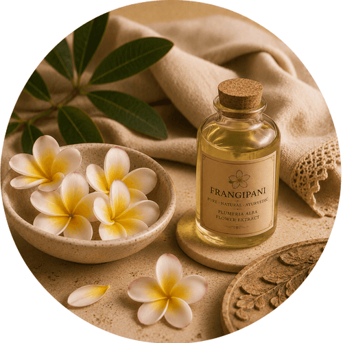 Frangipani