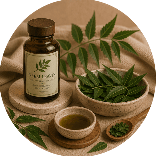 Neem Leaves